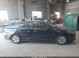 Hyundai Sonata Hybrid Se KMHE24L3XJA083358 photo