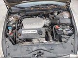 Honda Accord 3.0 Ex 1HGCM66524A091667 снимка
