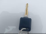 Miniaturka zdjęcia 11