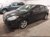 Miniaturka zdjęcia 2