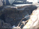 Volvo Xc60 B5 Plus YV4M12RC5S1107322 снимка