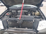 Ford F-150 Fx2/Lariat/Xl/Xlt 1FTPX12VX8FA19222 photo