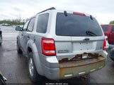 Ford Escape Xlt 1FMCU0DG6AKB65545 fotografie