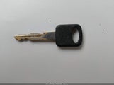 Miniaturka zdjęcia 11