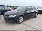 Miniaturka zdjęcia 2
