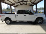 Ford F-150 Fx4/Harley-Davidson/King Ranch/Lariat/Platinum/Xl/Xlt 1FTFW1EV4AFA55777 fotografie