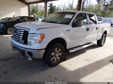 Ford F-150 Fx4/Harley-Davidson/King Ranch/Lariat/Platinum/Xl/Xlt 1FTFW1EV4AFA55777 fotografie