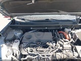Toyota Rav4 Hybrid Xle 4T3RWRFV4RU147136 photo