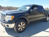 Ford F-150 Fx4/Harley-Davidson/King Ranch/Lariat/Platinum/Xl/Xlt 1FTFW1EV9AFD58621 снимка