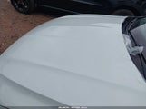 Miniaturka zdjęcia 6