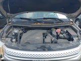 Miniaturka zdjęcia 10