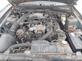 Ford Mustang Gt 1FAFP42X24F183658 снимка