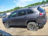 Jeep Cherokee Trailhawk 4X4 1C4PJMBN4LD518010 снимка