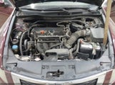 Honda Accord Sdn 2.4 Ex-L/Ex-L 1HGCP2F82AA145281 photo