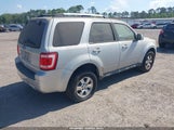 Ford Escape Limited 1FMCU0E71BKB67123 fotografie