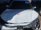 Toyota Corolla Le 5YFB4MDE0RP084415 снимка