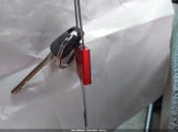 Miniaturka zdjęcia 11