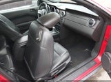Ford Mustang V6 Deluxe/V6 Premium 1ZVFT84N175340838 fotografie