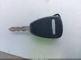 Miniaturka zdjęcia 11