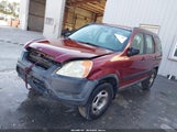Honda Cr-V Lx SHSRD68504U209236 fotografie