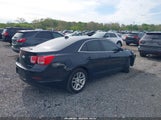Chevrolet Malibu Eco Premium Audio 1G11F5RR4DF100521 photo