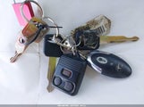 Miniaturka zdjęcia 11