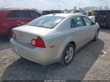 Chevrolet Malibu Ls 1G1ZB5E11BF121709 снимка