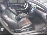 Miniaturka zdjęcia 5