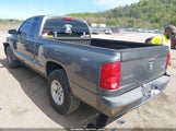 Dodge Dakota St 1D7CE2BK5AS147953 fotografie