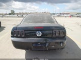 Ford Mustang V6 Deluxe/V6 Premium 1ZVFT80N655130447 photo
