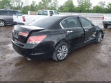 Honda Accord 3.5 Ex-L 5KBCP3F84BB002119 снимка