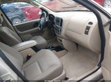 Ford Escape Xlt 1FMYU931X4KA50149 снимка