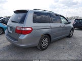 Honda Odyssey Ex-L 5FNRL38646B013658 снимка