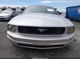 Ford Mustang V6 1ZVFT84N665103437 снимка