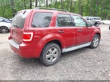 Ford Escape Xlt 1FMCU9D71BKA77735 снимка