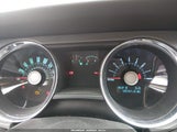 Miniaturka zdjęcia 7