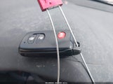 Miniaturka zdjęcia 11