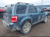 Ford Escape Xlt 1FMCU9DG7BKA15028 fotografie
