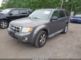 Ford Escape Xlt 1FMCU0D76AKB75735 fotografie
