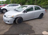 Toyota Corolla 2T1BU40E39C034114 снимка