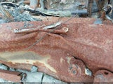 Toyota Tacoma 5TENX22N56Z271697 photo