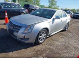 Miniaturka zdjęcia 2