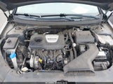 Hyundai Sonata Eco 5NPE24AA6KH774886 снимка
