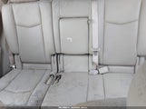 Miniaturka zdjęcia 8
