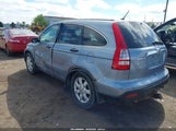 Miniaturka zdjęcia 3