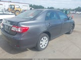 Toyota Corolla Le 2T1BU4EE9BC724674 fotografie