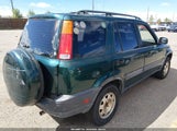 Miniaturka zdjęcia 4