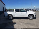 Chevrolet Colorado Wt 1GCGTBEN3H1283411 снимка