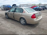 Chevrolet Malibu Lt 1G1ZT51886F164482 fotografie