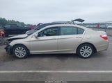 Honda Accord Ex-L V-6 1HGCR3F88DA043696 photo